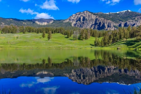 Yellowstone National Park in Wyoming