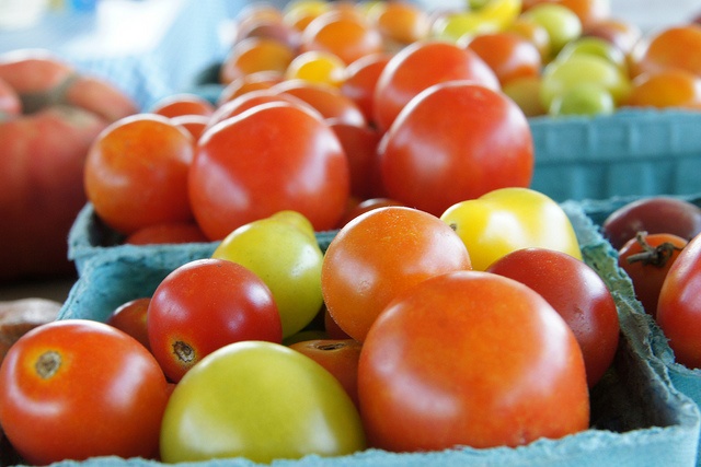 Greensboro Farmers Market