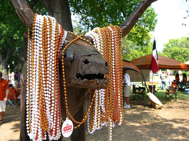 Mardi Cow