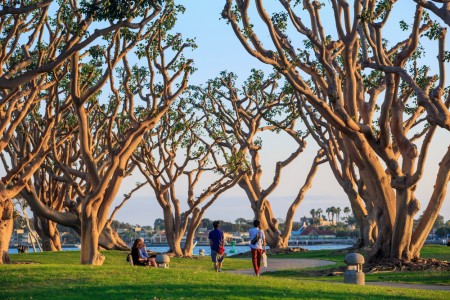 Park in San Diego