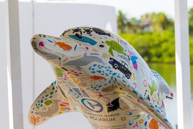 dolphin art
